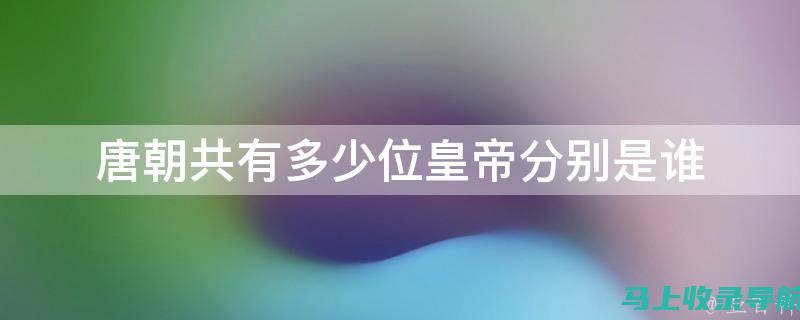 全面比较唐棣与站长申论教学：课程质量与适用性探讨